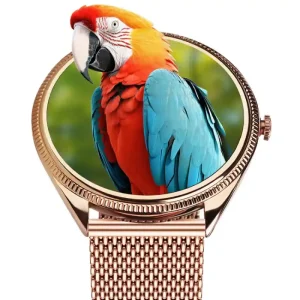 VALDUS VL60 PRO Women's Smartwatch